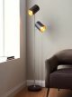 Metal Double Arm Floor Lamp